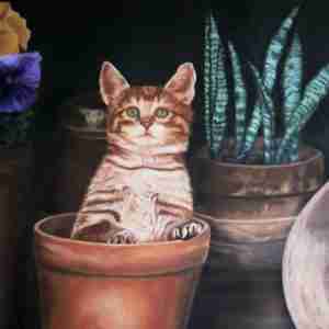 Gatto - Olio su Tela Autrice Alessia Interdonato