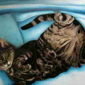 Gatto - Olio su tela Artista Alessia Interdonato